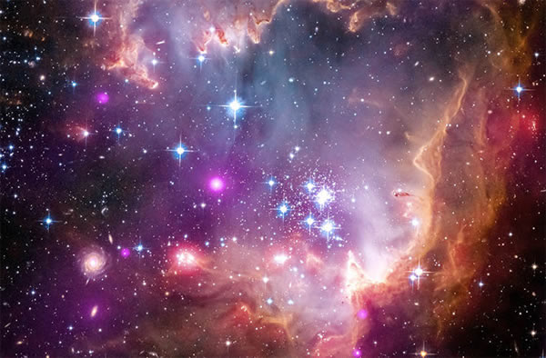 С���������ƣ�SMC��������ˡ���ů���ĳ����������ƣ�˹Ƥ�ߡ�Ǯ�����͹�����Զ���ٴ����֣�Ϊ��ѧ�ҳ��ֳ�С�����������ڲ��ľ���