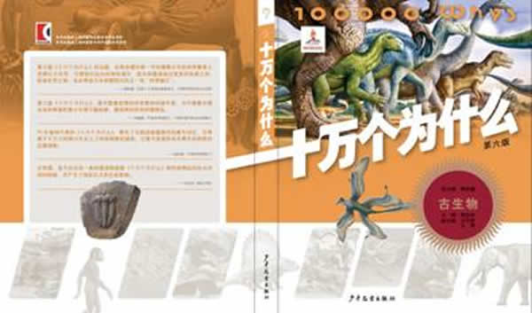 �ż�׵�����Ϲ����������ࡶʮ���Ϊʲô�������������