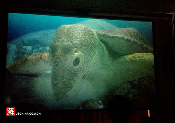 ������3D���յ�Ӱ�������ͺ��֡�����½�Ͼ������ﲩ���