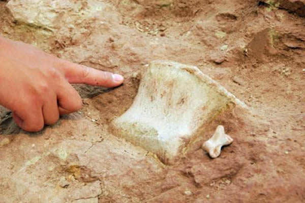 �ֳ���¶��Ѽ����(��)��С��ʳ����ֺ��������ָ�Ƚ�