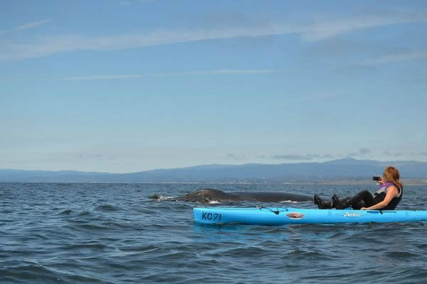 ����СƤͧ������Ӵ���ͷ��