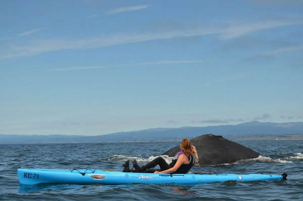 ����СƤͧ������Ӵ���ͷ��