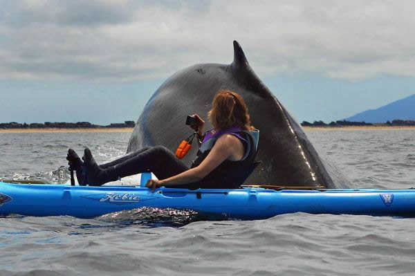 ����СƤͧ������Ӵ���ͷ��