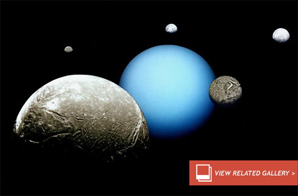 Trojan Ahoy! Uranus Has a Plus-One