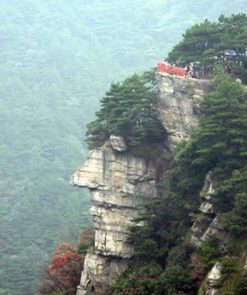 �οͿ��Կ���һ����������ͷ���Σ���ͱڣ�ü�ۿڱ��°͵��������������