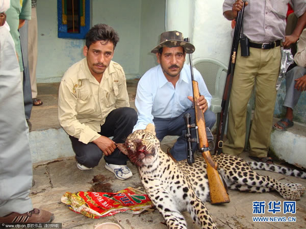 ӡ�Ƚ�ʦ��Ϊ���ˣ����Ա���40ͷ