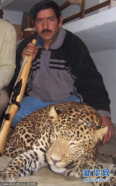 ӡ�Ƚ�ʦ��Ϊ���ˣ����Ա���40ͷ