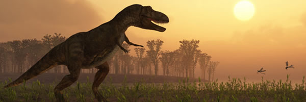 Clive Palmer���ڴ���һ��٪�޼͹�԰