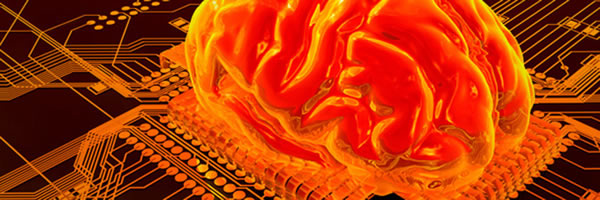 Dmitry Itskov��Ҫ��������