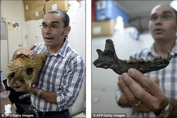 �����о�������ʯ�͹�˾��������ֿ�ָ���������о�С��ϣ��ͨ�������о����������Ǹ�����˽�Զ��ʱ�ڹ����������ʷǰ���޹�ͬ����