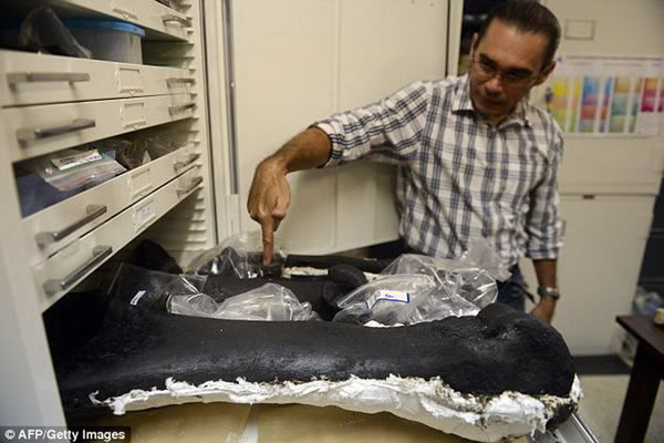 �ֿ�չʾ�˱������о��칫���д��к�ɫ�۵��Զ�Ŷ��������ʯ