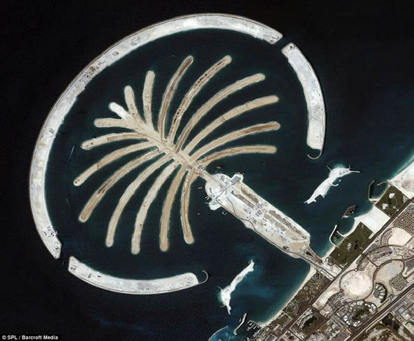 ����ǧ����߿չۿ��ϰ����쵺������һ�������