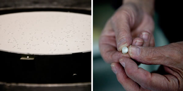 Peter Schultz拿着一颗用于试验的子弹