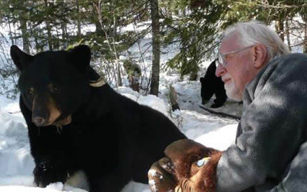 美国知名熊专家因独特研究方式惹争议