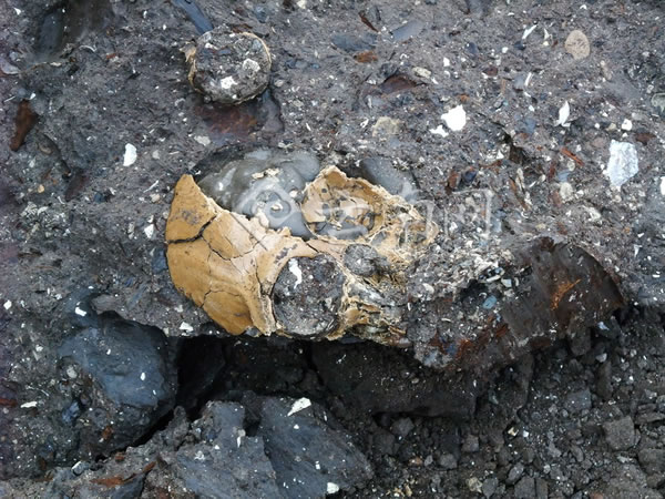 ��Գͷ�ǻ�ʯ����״̬