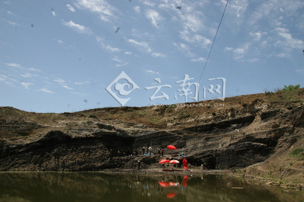 �����Բɾ��ֳ�