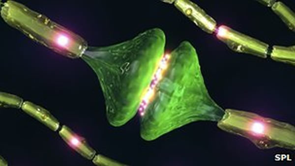 ֬Աϸϸ֮䴫źŵٶȡ