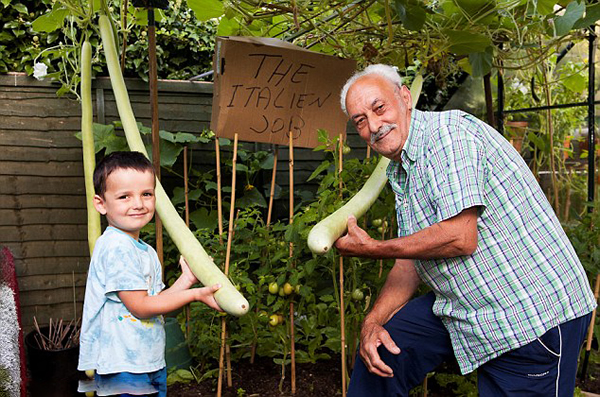 英国老汉种出1.8米长巨型瓠瓜