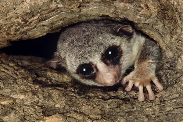 βоڽҿ鳤දﶬߵİ