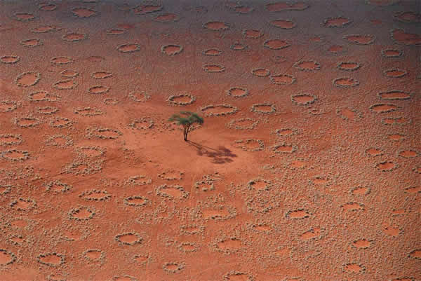 �����о������������ײ�ɳĮ��ŮȦ������ֲ��֮�������Դ��������Ȼ���