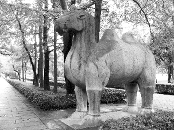 ��Т������ʯ���ϵľ�ʯ���п׳滯ʯ