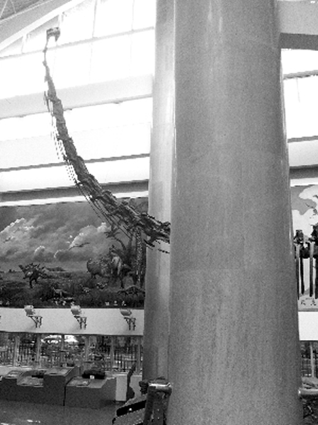 �Ͼ������ﲩ��������ϵ����㻯ʯ