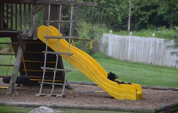 ��������Я���̴���լ�滬��