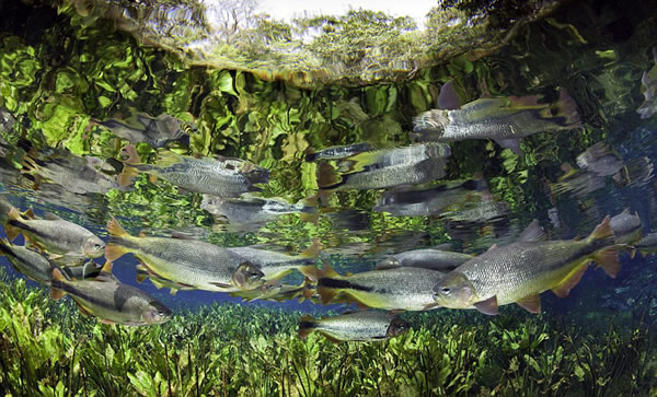 ������ӽ�չ���λ�����