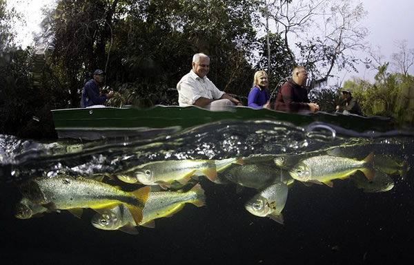 ������ӽ�չ���λ�����