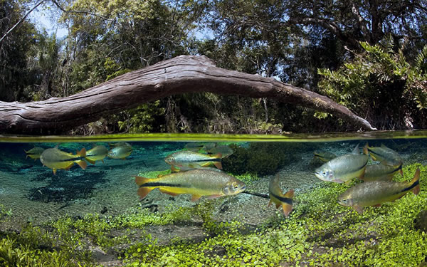 ������ӽ�չ���λ�����