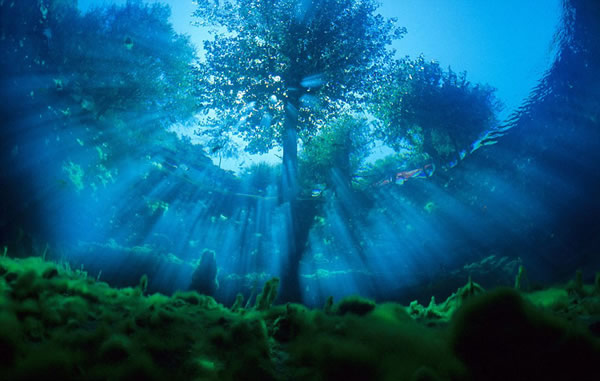 ������ӽ�չ���λ�����