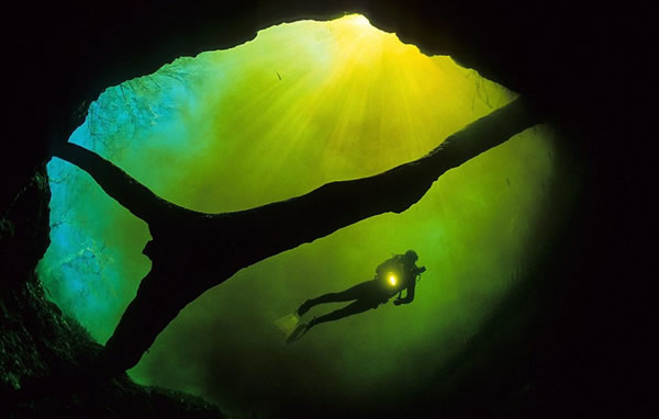 ������ӽ�չ���λ�����