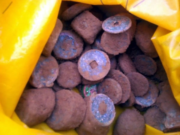 河南村落现古钱币引百人抢挖