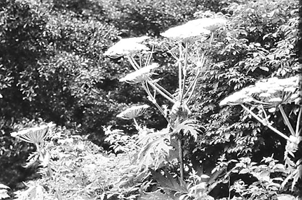 ŷ��ίԱ�����һ���µ��������飬Ӧ�������������ִ�������в��