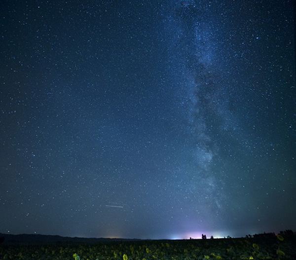 ���տ����������