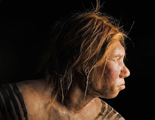 A reconstruction of a Neanderthal female.