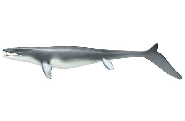 Bus-Sized Reptile Terrorized Prehistoric Sealife