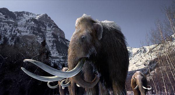 �Ѿ����ֵ�������������3 �ס� ����Լ7���֣� ӵ�г������������������Ϻ���ë����Ƥ��֬����ʹ�����ܵ����Ϻ�������