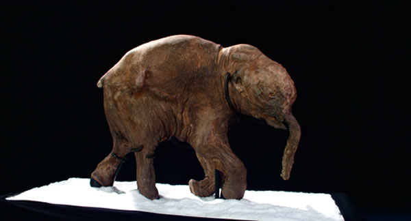 2007 �����������Ƕ����㷢�ֵġ� ���š� �� ��Ŀǰ�������������������ź�����ѧ�ҽ��������˼����˽��������⣬ ���ɵõ���ʱ�Ļ�����������Ѷ��