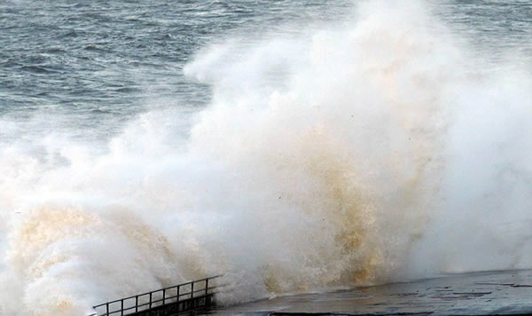 Ӣ���������겻������Σ���桰��ܲ��ˡ���Ϸ