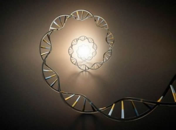 �����ڸ߶���������һ��DNA��������Ӣ����ѧ�Ҷ����֬��������ǻ�ʯ��֬ǰ�����е�����������о����������������90������о�����������жϹ�DNA����ʵ��