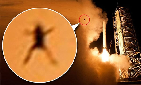 美国NASA的米诺陶五号火箭发射升空吹飞小青蛙