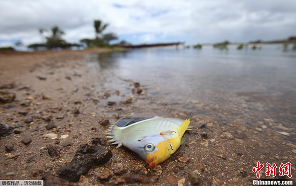 ���������Ļ����ǽ�й©���ܱ�Ұ����������