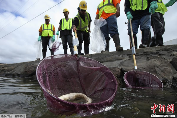 ���������Ļ����ǽ�й©���ܱ�Ұ����������