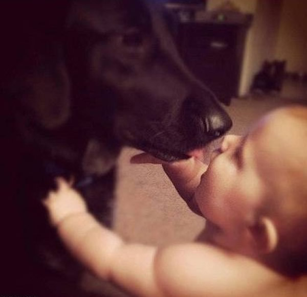 С���������ҹ������л