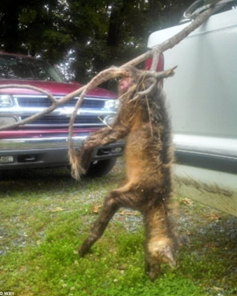 ���������������ݳ������ơ�׿�ؿ�����������Ѫ����