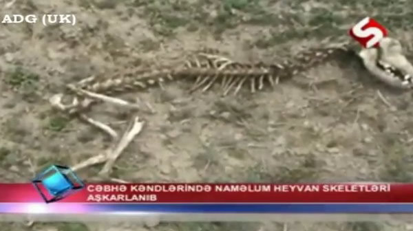 ������Ȼ���͹����ڷ���һ�����ض��ﺡ��