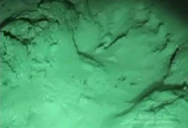 美国节目团队称在越南丛林拍到大脚怪足印