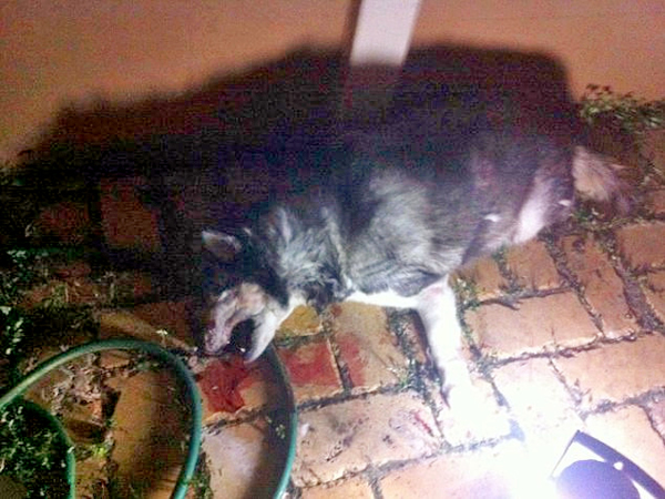 �������������3�׷�����������լ������ʿ��