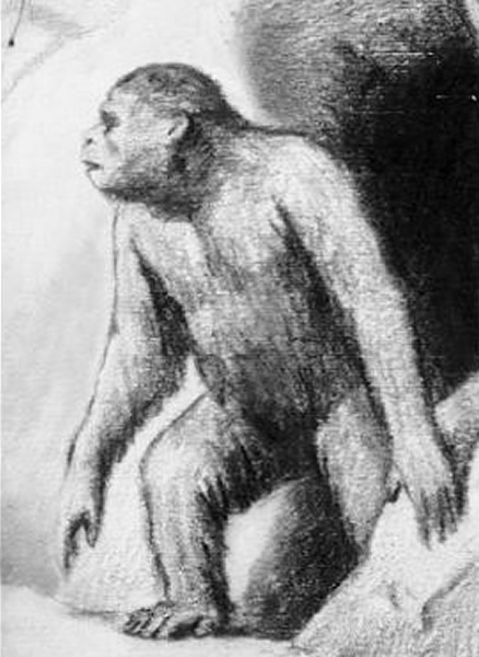 西伯利亚传又出现雪人身影